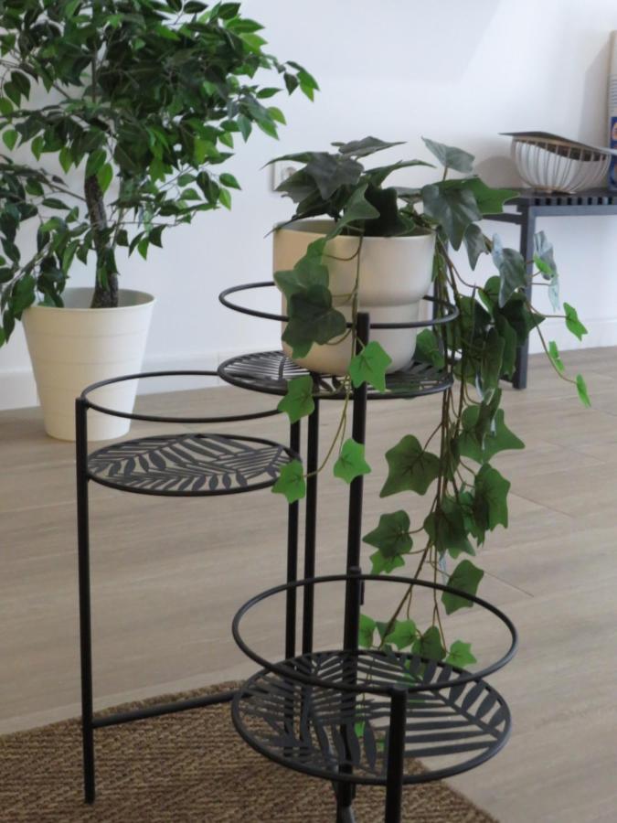 Venerable 15a Apartament Kordoba